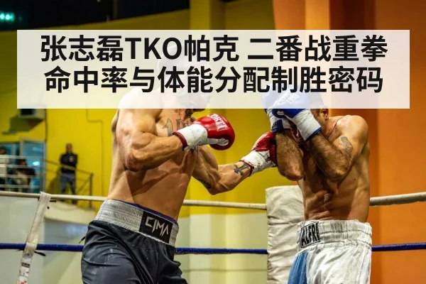 heavyweight boxing punch